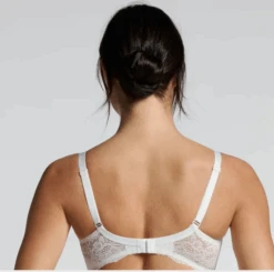 Reggiseno Coppa C Senza Ferretto Pizzo Elasticizzato Belseno Essere 490 -Negozio al dettaglio Intimo-Outlet 490 b