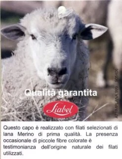 Maglia Donna Mezza Manica Lanacotone Liabel 5321 1036 3 Maglia Donna Mezza Manica Lanacotone Liabel 5321 1036 -Negozio al dettaglio Intimo-Outlet photo 2018 06 01 15 28 57 6